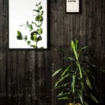 05cc3f40c62c6139ee8068fab6ca3682_l