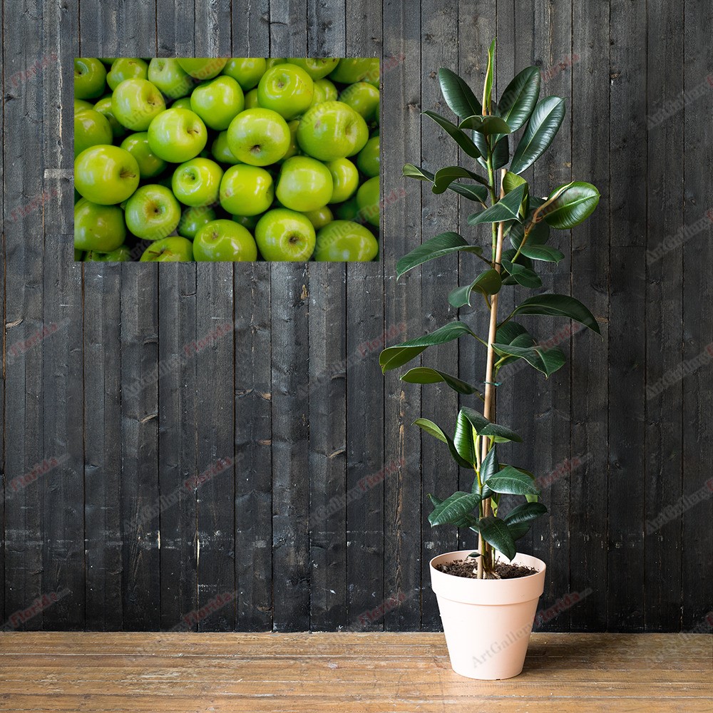 Green apples - Poster - Image 6